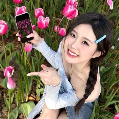 狐狸之声国语